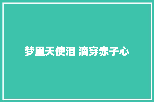 梦里天使泪 滴穿赤子心