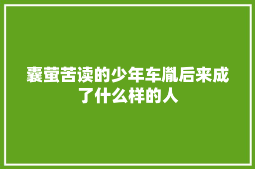 囊萤苦读的少年车胤后来成了什么样的人