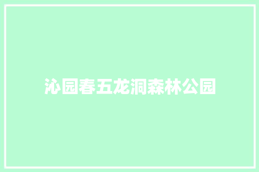 沁园春五龙洞森林公园
