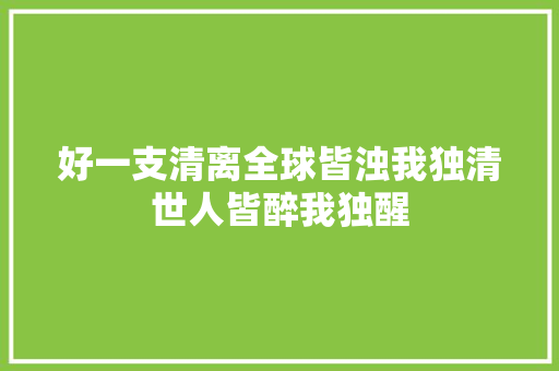 好一支清离全球皆浊我独清世人皆醉我独醒