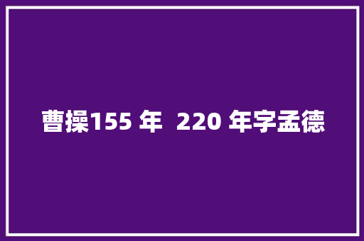 曹操155 年  220 年字孟德