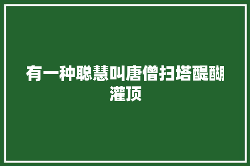 有一种聪慧叫唐僧扫塔醍醐灌顶