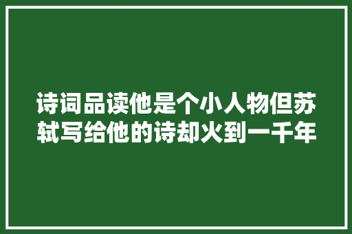 诗词品读他是个小人物但苏轼写给他的诗却火到一千年往后