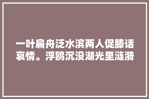 一叶扁舟泛水滨两人促膝话哀情。浮鸥沉没湖光里涟漪轻帆破浪行