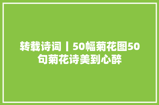 转载诗词丨50幅菊花图50句菊花诗美到心醉