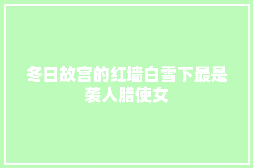 冬日故宫的红墙白雪下最是袭人腊使女