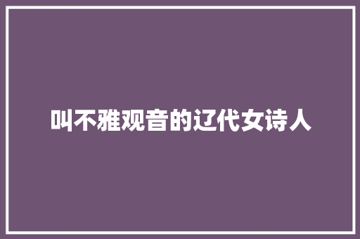 叫不雅观音的辽代女诗人