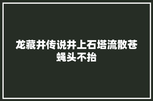 龙藏井传说井上石塔流散苍蝇头不抬