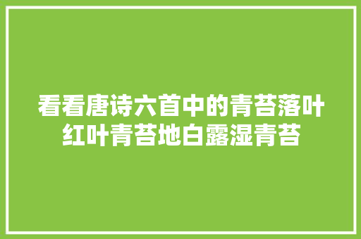 看看唐诗六首中的青苔落叶红叶青苔地白露湿青苔
