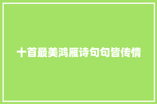 十首最美鸿雁诗句句皆传情