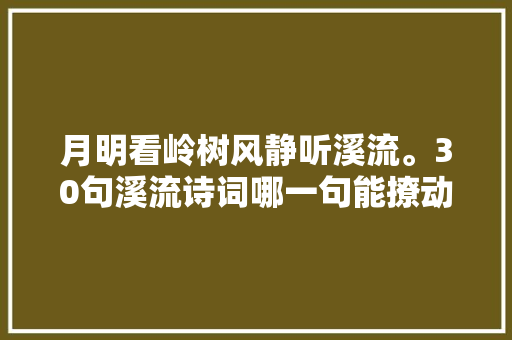 月明看岭树风静听溪流。30句溪流诗词哪一句能撩动你优柔的心