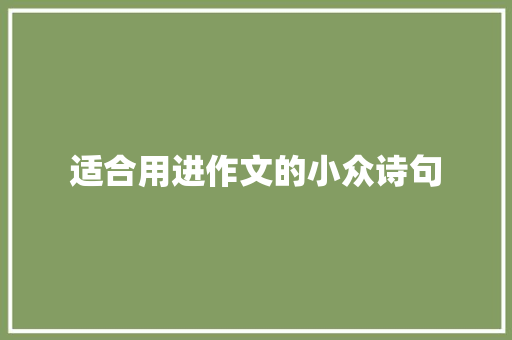 适合用进作文的小众诗句