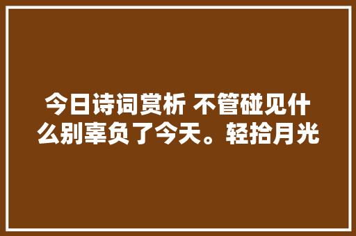 今日诗词赏析 不管碰见什么别辜负了今天。轻拾月光