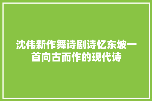 沈伟新作舞诗剧诗忆东坡一首向古而作的现代诗
