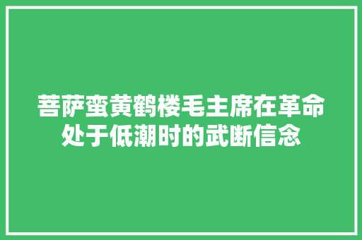 菩萨蛮黄鹤楼毛主席在革命处于低潮时的武断信念