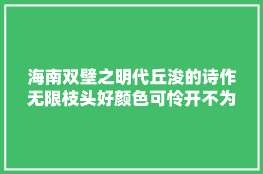 海南双壁之明代丘浚的诗作无限枝头好颜色可怜开不为重阳。