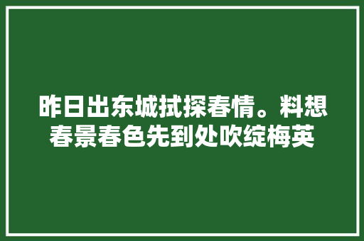昨日出东城拭探春情。料想春景春色先到处吹绽梅英 昨日出东城拭探春情。料想春景春色先到处吹绽梅英