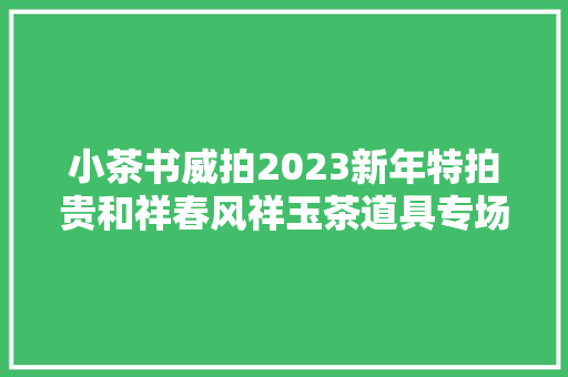 小茶书威拍2023新年特拍贵和祥春风祥玉茶道具专场拍卖图文来啦