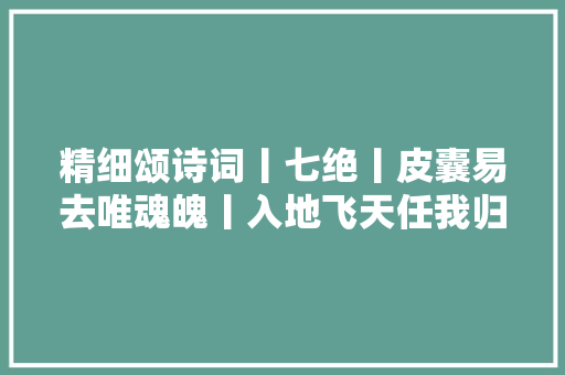 精细颂诗词丨七绝丨皮囊易去唯魂魄丨入地飞天任我归