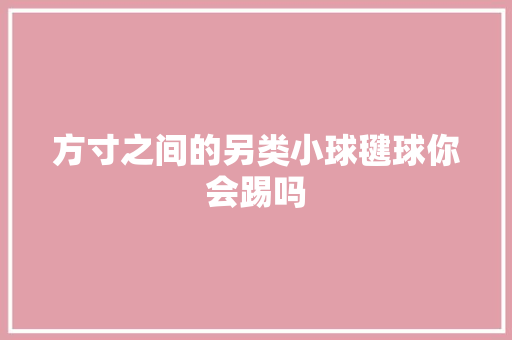 方寸之间的另类小球毽球你会踢吗