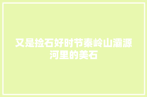 又是捡石好时节秦岭山灞源河里的美石