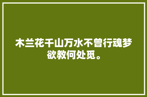 木兰花千山万水不曾行魂梦欲教何处觅。