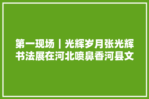 第一现场｜光辉岁月张光辉书法展在河北喷鼻香河县文化艺术中央隆重开幕2019年1月12日