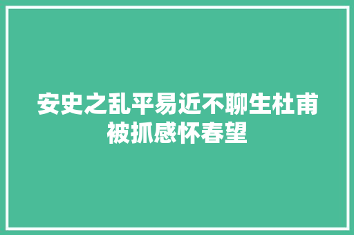 安史之乱平易近不聊生杜甫被抓感怀春望 安史之乱平易近不聊生杜甫被抓感怀春望