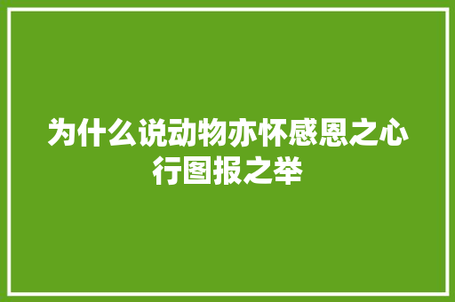 为什么说动物亦怀感恩之心行图报之举