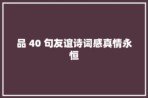 品 40 句友谊诗词感真情永恒