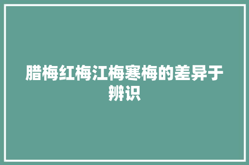 腊梅红梅江梅寒梅的差异于辨识