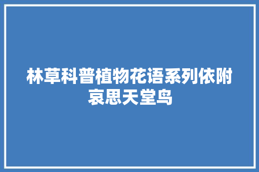 林草科普植物花语系列依附哀思天堂鸟