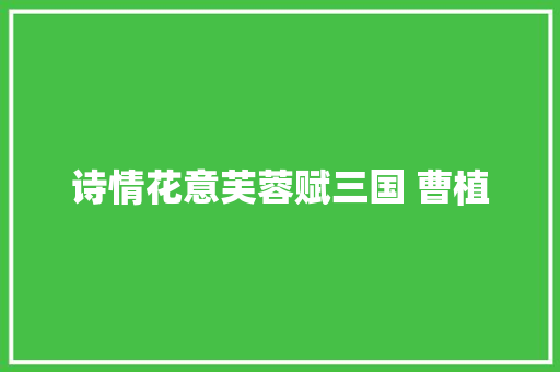 诗情花意芙蓉赋三国 曹植 诗情花意芙蓉赋三国 曹植