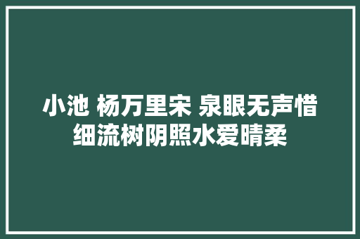 小池 杨万里宋 泉眼无声惜细流树阴照水爱晴柔