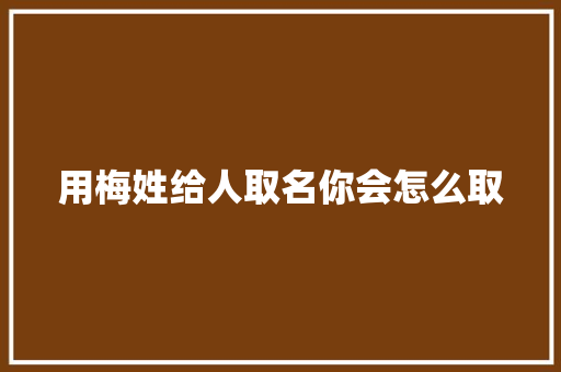 用梅姓给人取名你会怎么取