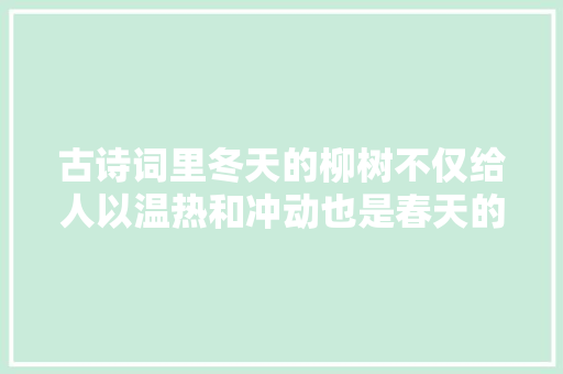 古诗词里冬天的柳树不仅给人以温热和冲动也是春天的使者