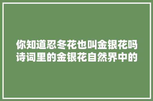 你知道忍冬花也叫金银花吗诗词里的金银花自然界中的金色天使