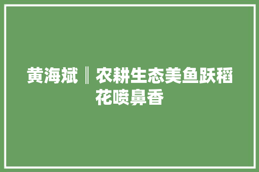 黄海斌║农耕生态美鱼跃稻花喷鼻香 黄海斌║农耕生态美鱼跃稻花喷鼻香