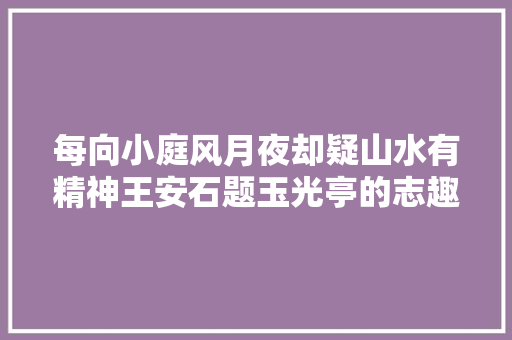 每向小庭风月夜却疑山水有精神王安石题玉光亭的志趣