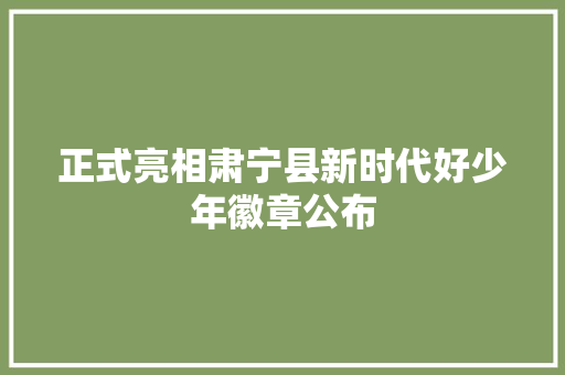 正式亮相肃宁县新时代好少年徽章公布