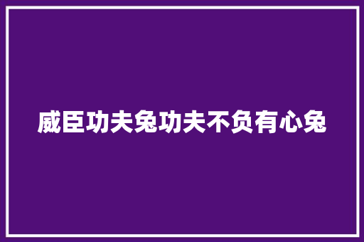 威臣功夫兔功夫不负有心兔