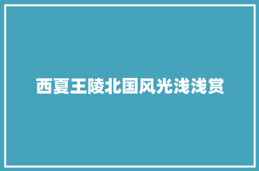 西夏王陵北国风光浅浅赏 西夏王陵北国风光浅浅赏