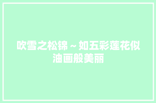 吹雪之松锦~如五彩莲花似油画般美丽 吹雪之松锦~如五彩莲花似油画般美丽