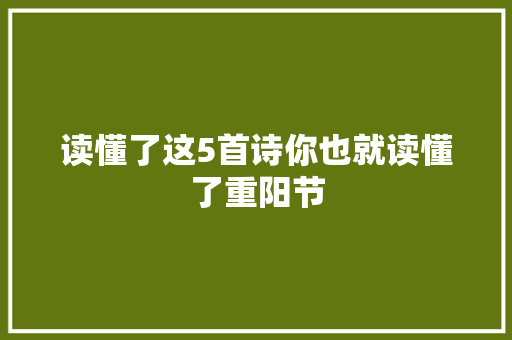 读懂了这5首诗你也就读懂了重阳节