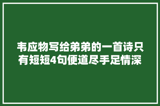 韦应物写给弟弟的一首诗只有短短4句便道尽手足情深