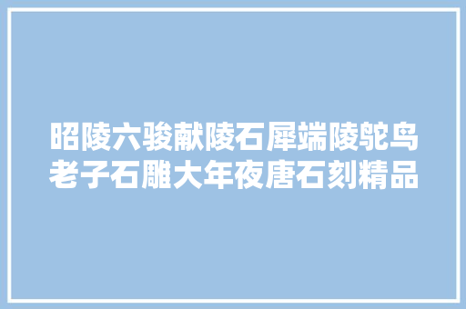 昭陵六骏献陵石犀端陵鸵鸟老子石雕大年夜唐石刻精品尽收于此 昭陵六骏献陵石犀端陵鸵鸟老子石雕大年夜唐石刻精品尽收于此