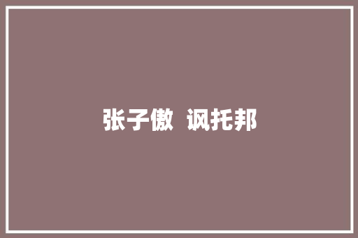 张子傲  讽托邦