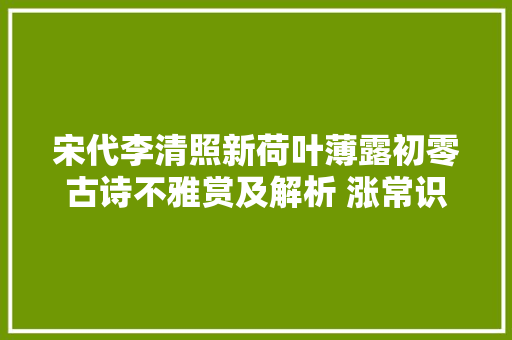 宋代李清照新荷叶薄露初零古诗不雅赏及解析 涨常识