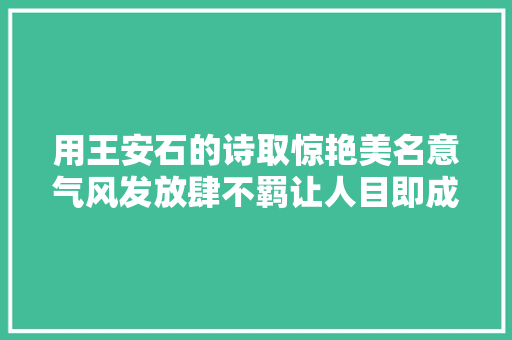 用王安石的诗取惊艳美名意气风发放肆不羁让人目即成诵