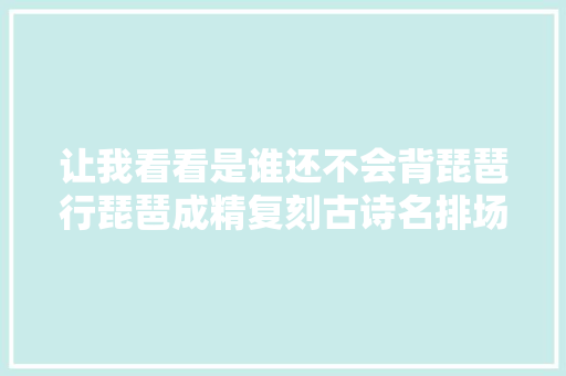 让我看看是谁还不会背琵琶行琵琶成精复刻古诗名排场帅炸了